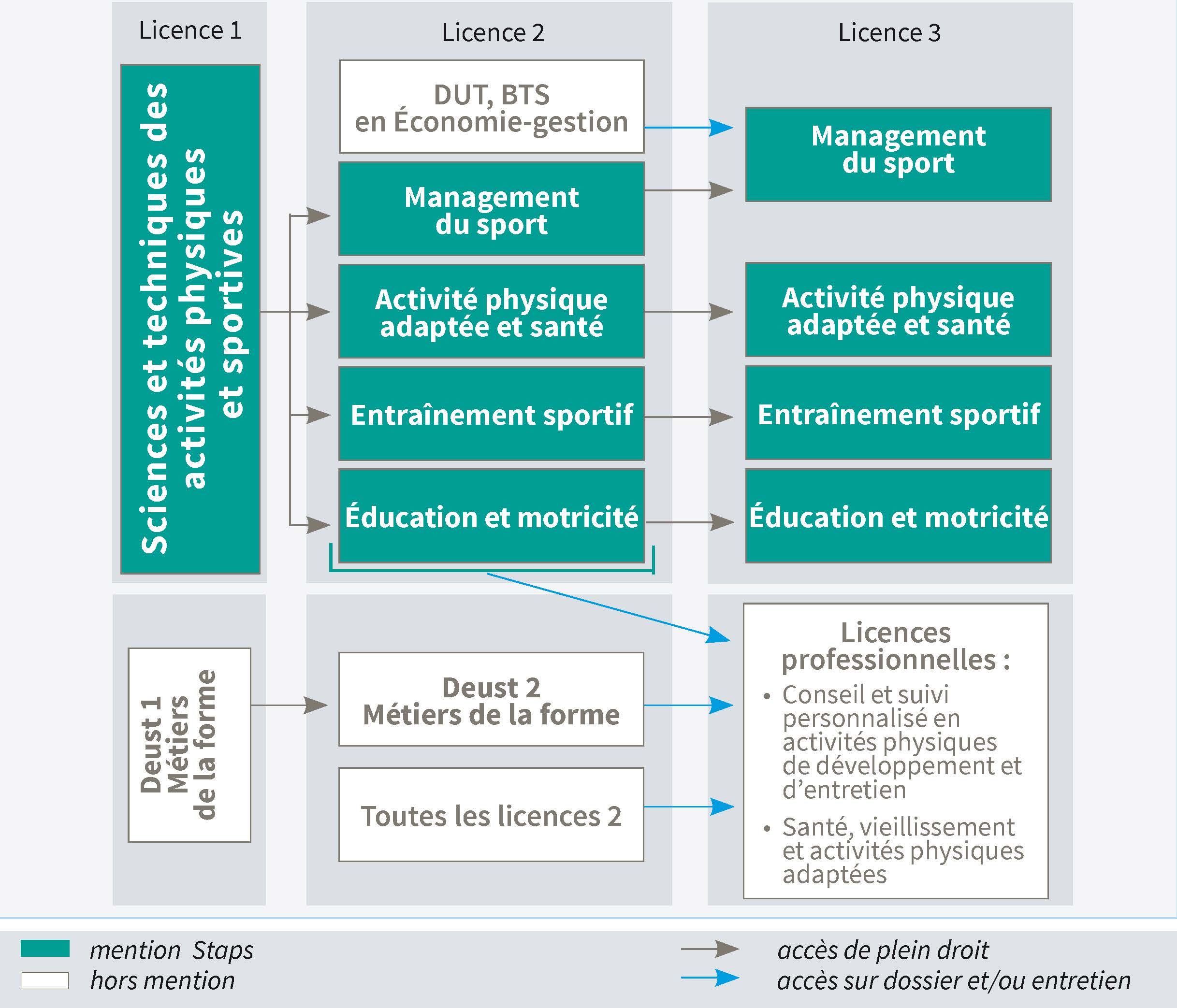 diplome universitaire sport et sante