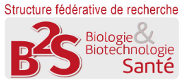 logo_SFR-B2S