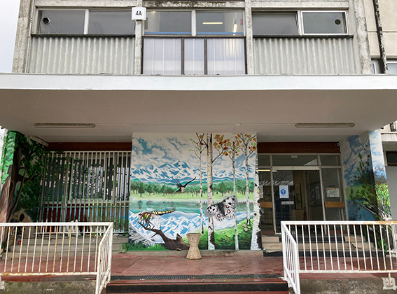 Fresque biodiversité