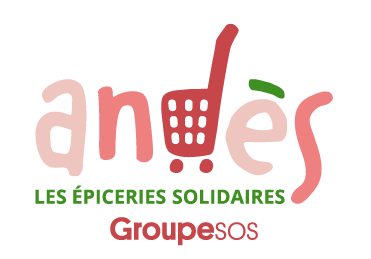andès groupe sos