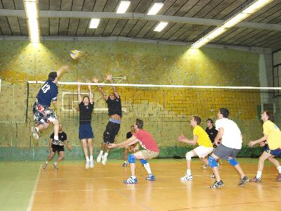 Volley