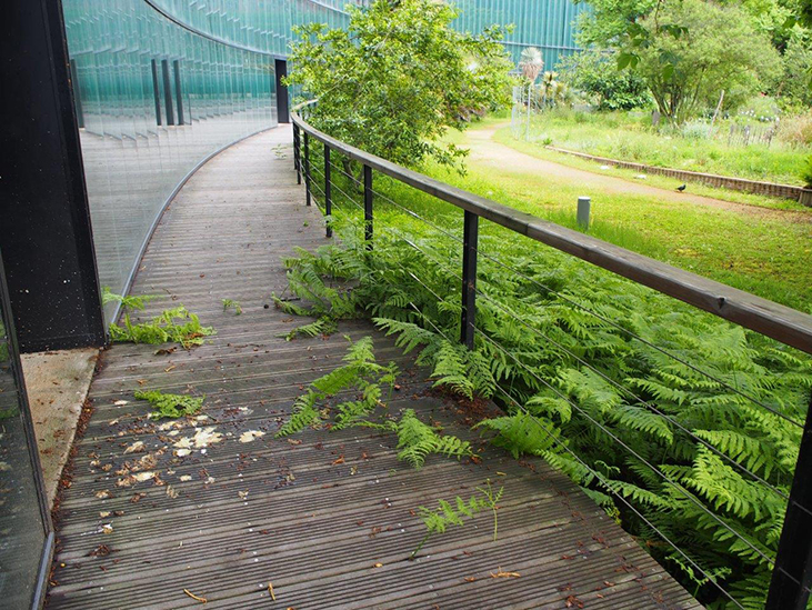 Jardin botanique végétation