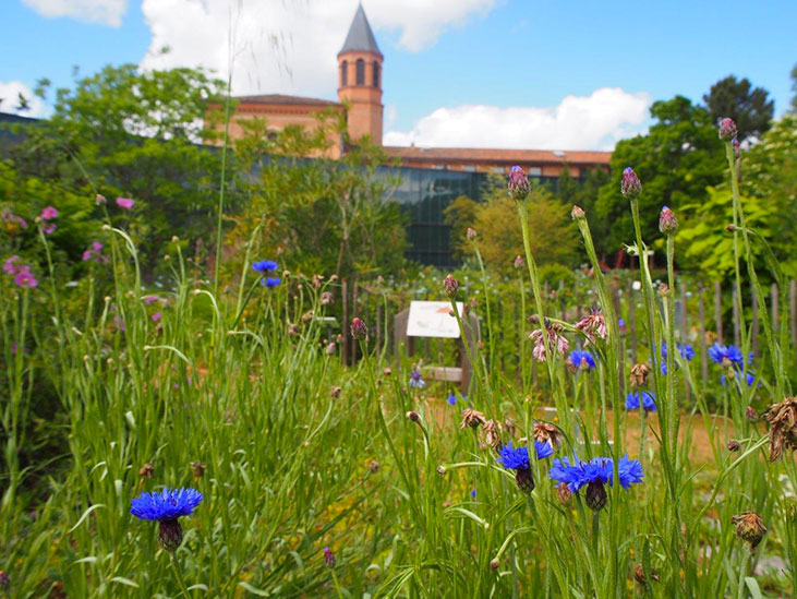 Jardin botanique