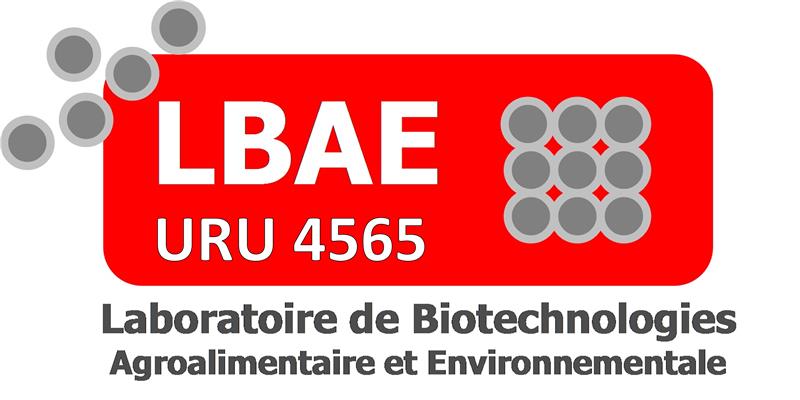 logo_LBAE