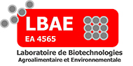 logo_LBAE