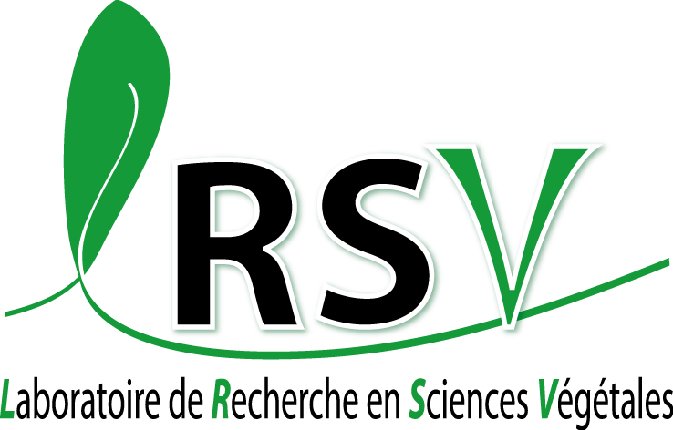 logo_LRSV