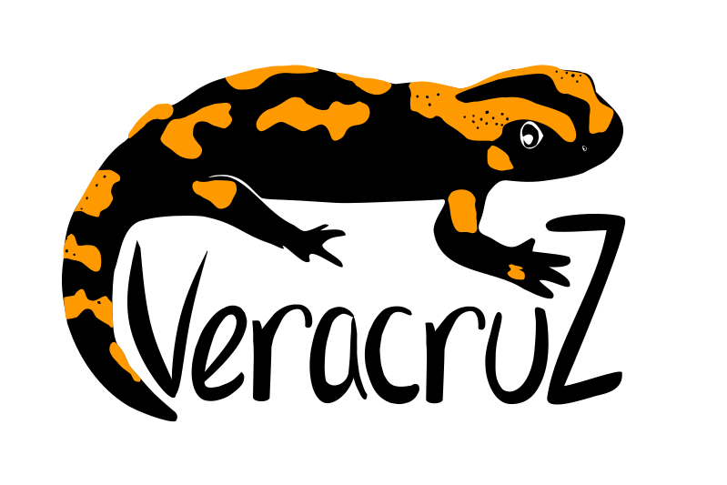 LogoVeracruz2023
