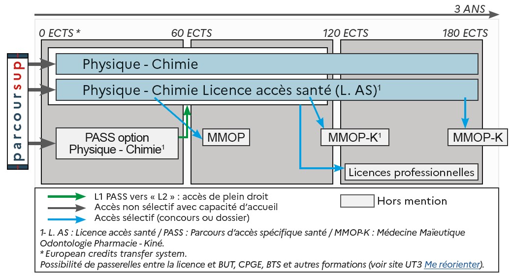 ODF 2024-2025_Mention LicPhysique-Chimie_SCHEMA_SCUIO