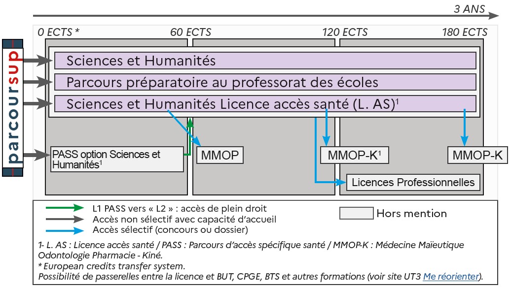 ODF 2024-2025_Mention LicSciencesetHumanites_SCHEMA_SCUIO