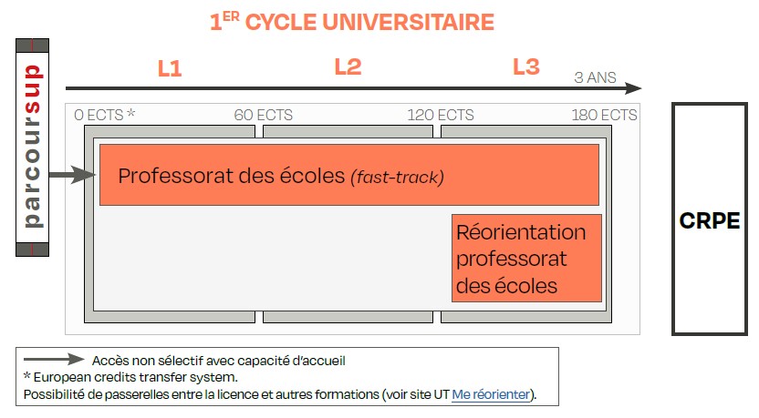 Schéma du 1er cycle universitaire (Licence) sur 3 ans, L1 à L3, pour 180 ECTS. Accès via Parcoursup. Parcours Professorat des écoles en fast-track, avec possibilité de réorientation. La licence permet l’inscription au CRPE.