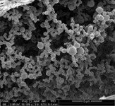 Organogel