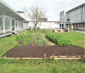 jardins_agroecologiques